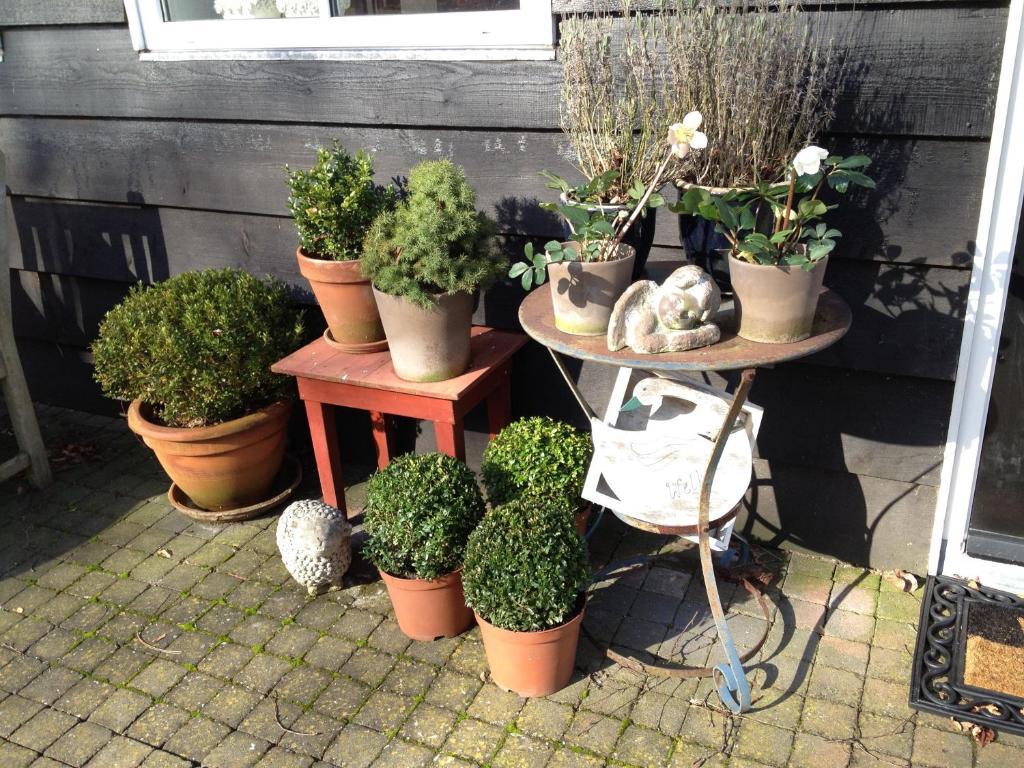 D'Ouwe Stal Bed and Breakfast Axel Rum bild